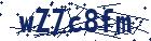 captcha here