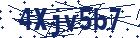 captcha here