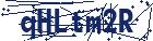 captcha here